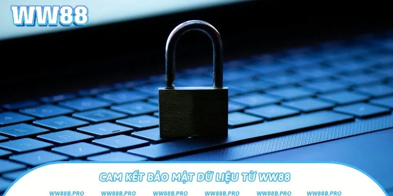 2 cam kết thu thập và bảo mật dữ liệu của nhà cái