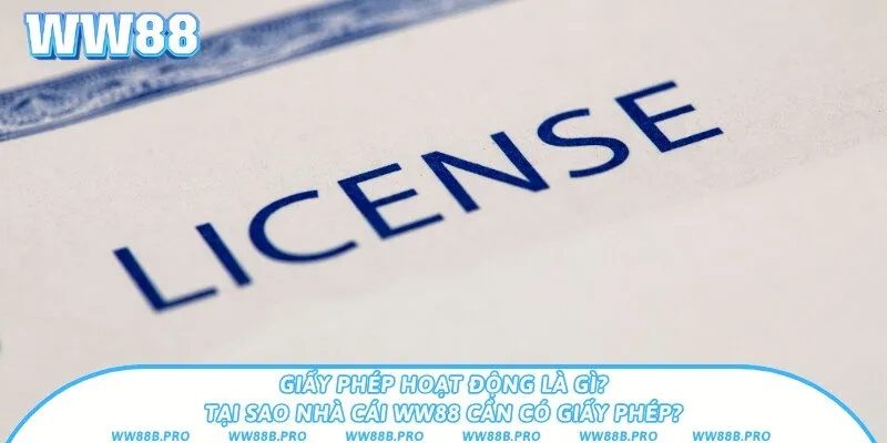 Tìm hiểu khái niệm giấy phép hoạt động và tác dụng chính