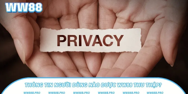 Thông tin dữ liệu và thông tin giao dịch sẽ được thu thập